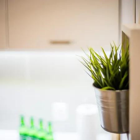 Wietora Wawelofts * Cracovia