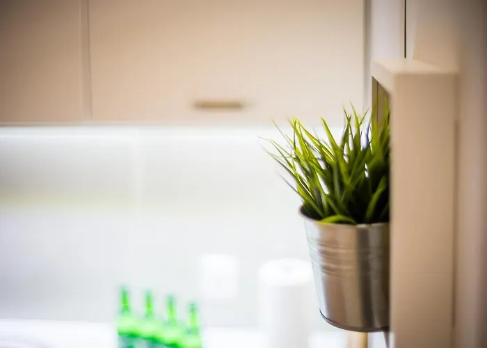 Wietora Wawelofts * Krakau