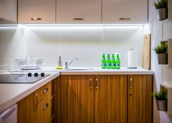 Wietora Wawelofts Apartment *