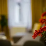 Wietora Wawelofts Apartamento *