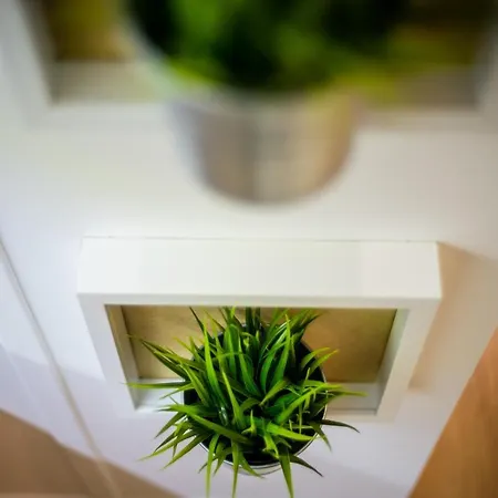 Wietora Wawelofts Krakow